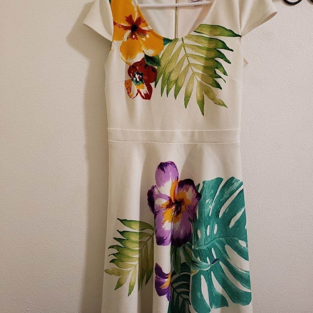 Dress barn dress established 1962